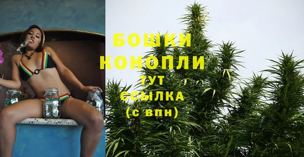 тгк Кукмор