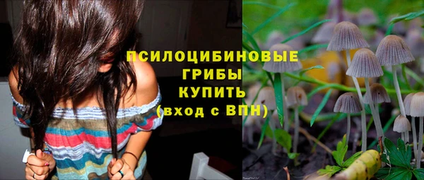 тгк Кукмор