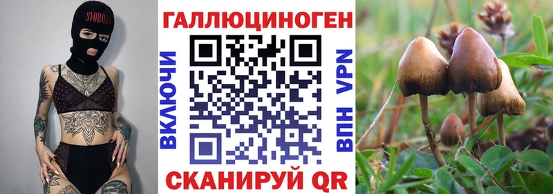 Псилоцибиновые грибы Magic Shrooms  кракен рабочий сайт  Соликамск 