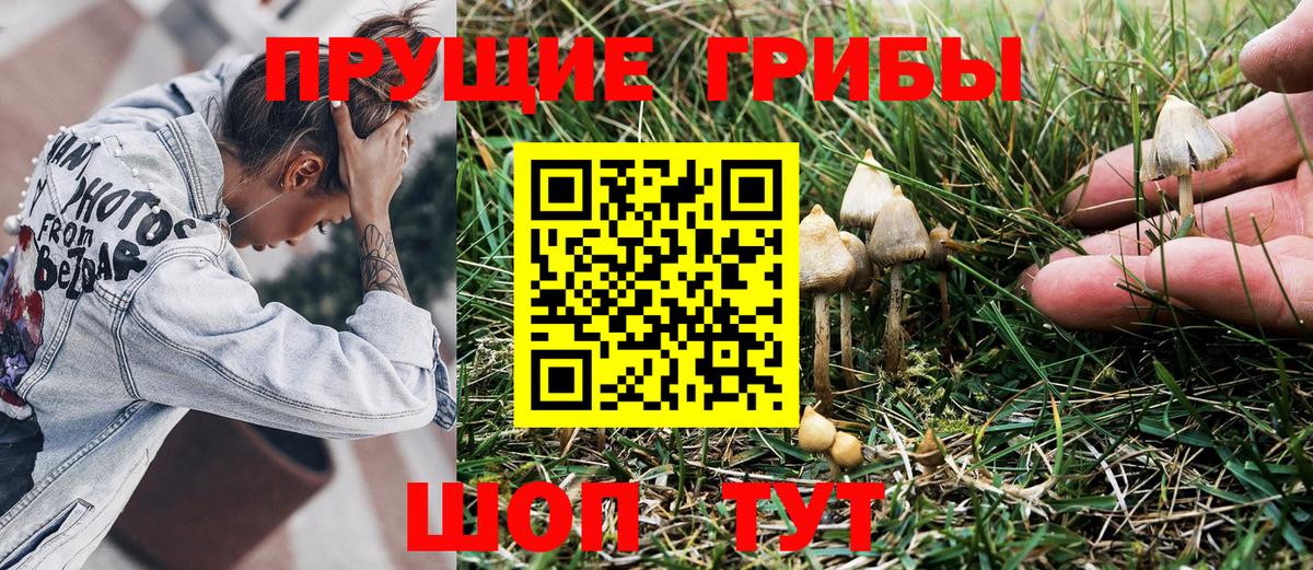 Псилоцибиновые грибы Cubensis  Галлюциногенные грибы MAGIC MUSHROOMS  Вход с VPN  Соликамск 